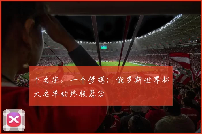 个名字，一个梦想：俄罗斯世界杯大名单的终极悬念
