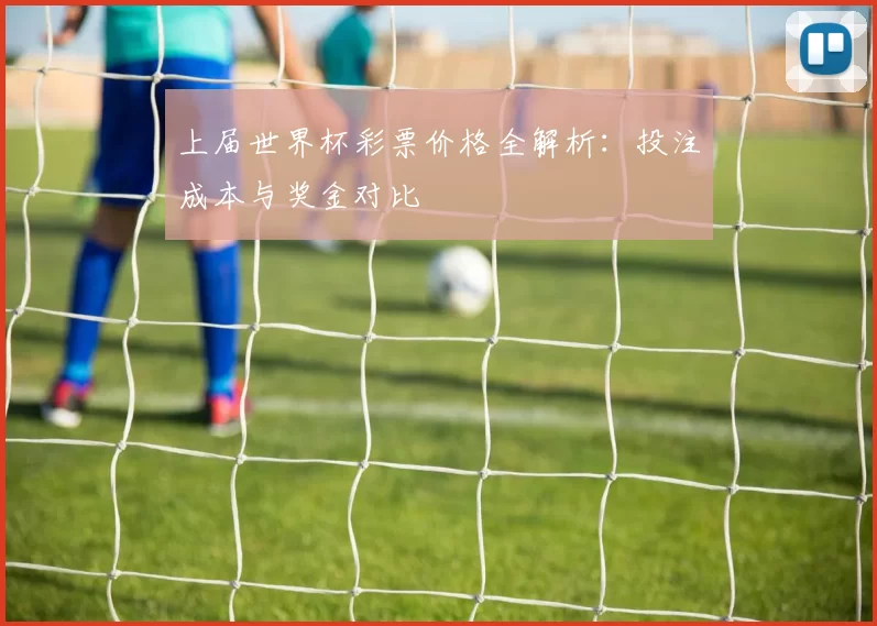 上届世界杯彩票价格全解析:投注成本与奖金对比