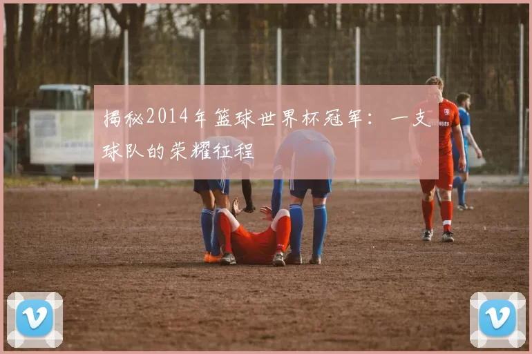 揭秘2014年篮球世界杯冠军:一支球队的荣耀征程