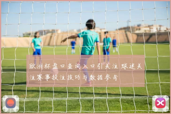 欧洲杯盘口查询入口引关注 球迷关注赛事投注技巧与数据参考