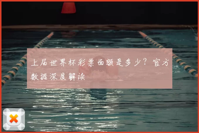 上届世界杯彩票面额是多少？官方数据深度解读