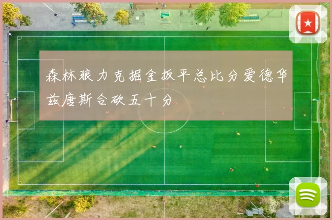 森林狼力克掘金扳平总比分爱德华兹唐斯合砍五十分