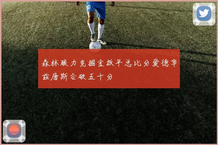 森林狼力克掘金扳平总比分爱德华兹唐斯合砍五十分