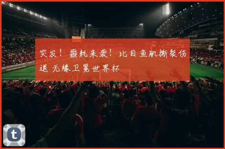 突发!噩耗来袭!比目鱼肌撕裂伤退 无缘卫冕世界杯