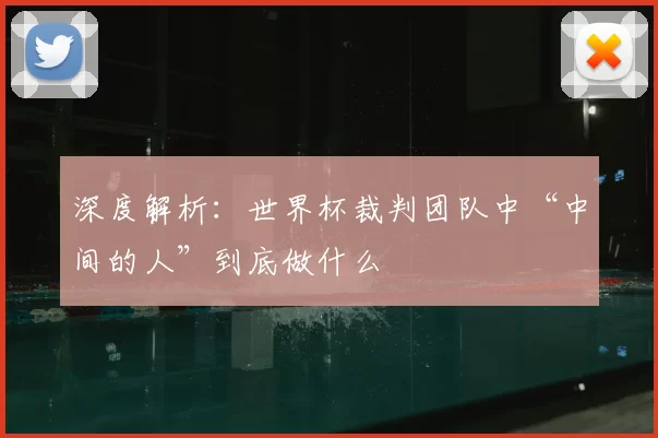 深度解析：世界杯裁判团队中“中间的人”到底做什么