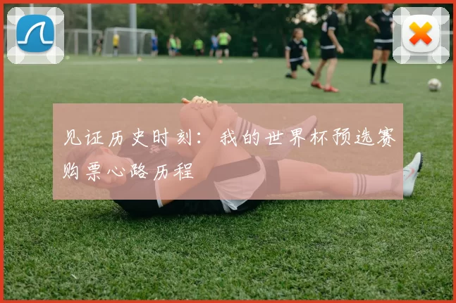 见证历史时刻:我的世界杯预选赛购票心路历程