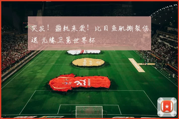 突发!噩耗来袭!比目鱼肌撕裂伤退 无缘卫冕世界杯